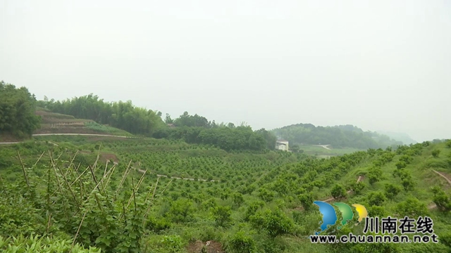 合江回洞桥村：脱贫路上奔小康，乡村振兴向未来(图7)