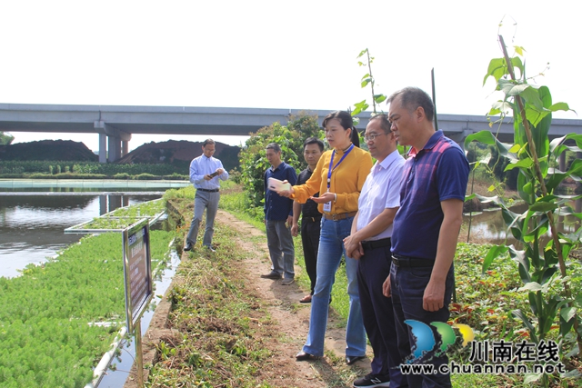 泸州市农业农村局到泸县云龙镇调研水产养殖生态治理工作(图2)