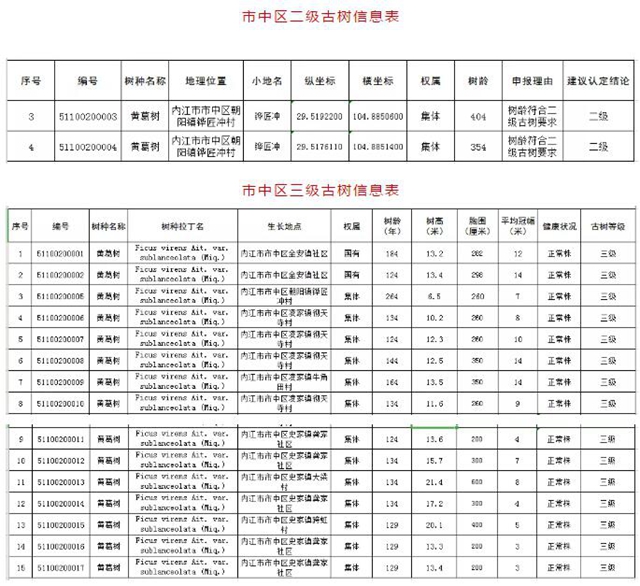 围观！内江这些“老古董”有了“身份证”(图9)