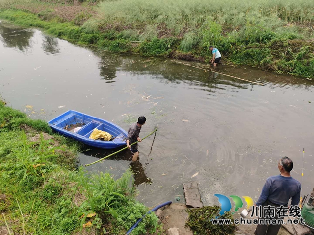 泸县百和镇：坚守生态红线 筑牢环保底线