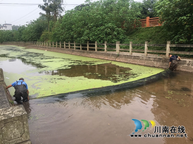 泸县百和镇:坚守生态红线 筑牢环保底线(图2) 泸县百和镇:坚守生态红线 筑牢环保底线(图2)