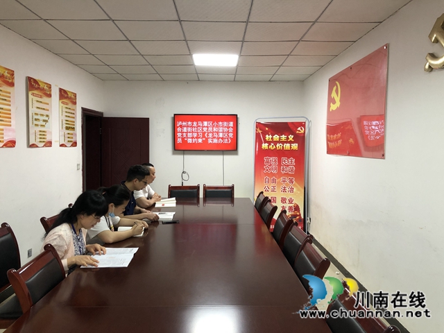 龙马潭区小市街道合道街社区党员和谐协会党支部开展固定党日活动(图2)