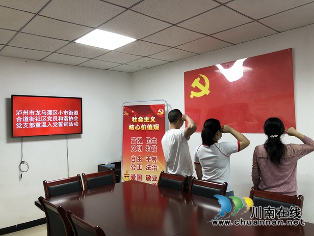 龙马潭区小市街道合道街社区党员和谐协会党支部开展固定党日活动