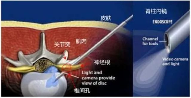 全国科技工作者日，泸州福欣医院三名医务人员获县科协领导上门慰问(图5)