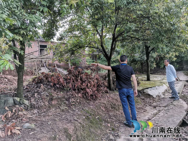 江阳区茜草街道沙坪社区积极开展雨后安全隐患排查工作