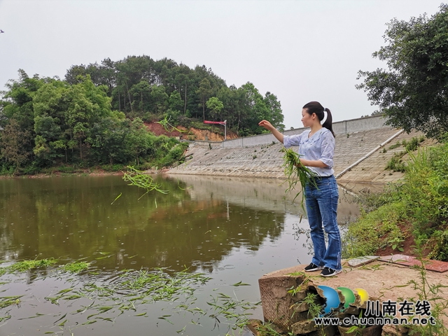 脱贫攻坚 泸县玄滩镇龙凤村飞来“金凤凰”(图8)