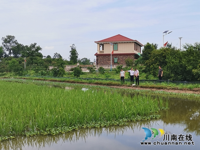 泸县玄滩镇涂场村：驻村帮扶，他让贫困村变为乡村振兴示范村(图8)