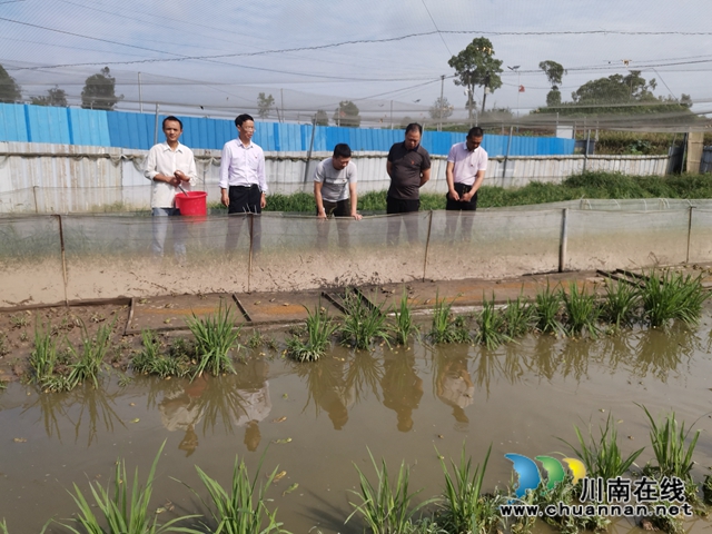 泸县玄滩镇涂场村：驻村帮扶，他让贫困村变为乡村振兴示范村(图9)