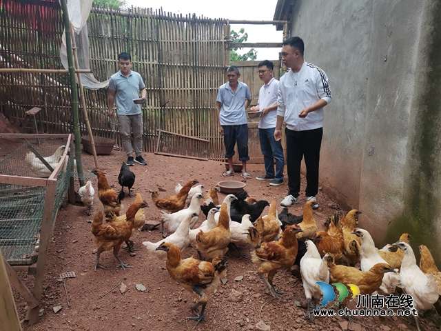 泸县云锦镇：真帮实扶 贫困村天台寺村蝶变新生(图2)