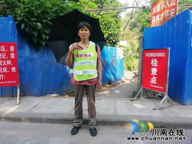 泸县玉蟾街道：积极开展森林防灭火工作，筑牢安全“防火墙”(图3)