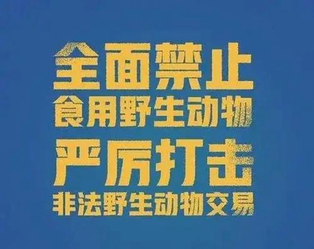 【江阳区人民法院庭审直播预告】八名被告人涉嫌犯非法收购、运输、出售珍贵、濒危野生动物、野生动物制品罪(图2) 【江阳区人民法院庭审直播预告】八名被告人涉嫌犯非法收购、运输、出售珍贵、濒危野生动物、野生动物制品罪(图2)