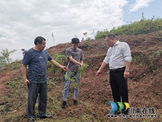 泸县喻寺镇：助人自助 周堰村驻村工作队造血式扶贫(图5)