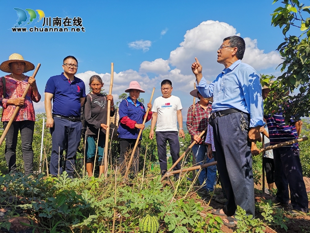 泸县喻寺镇谭坝村：驻村工作队不简单  敢叫贫困村变成美乡村(图4)