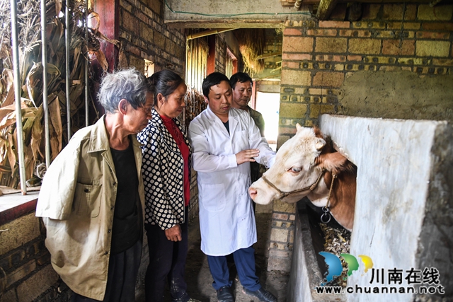 古蔺县白泥乡：农技人员走进田间，手把手传授“脱贫技能”(图6)