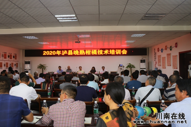 泸县召开2020年泸县晚熟柑橘技术培训会