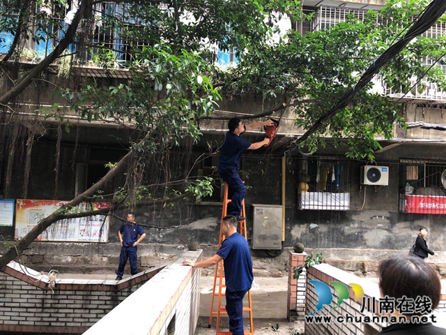 龙马潭区小市街道：排危除险，贴心为民