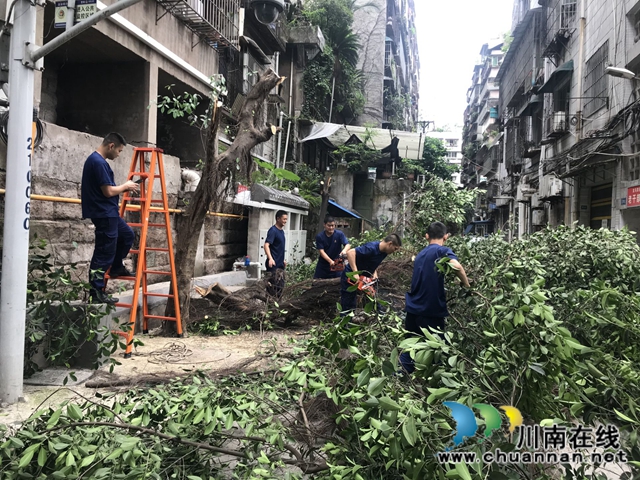 龙马潭区小市街道：排危除险，贴心为民(图3)