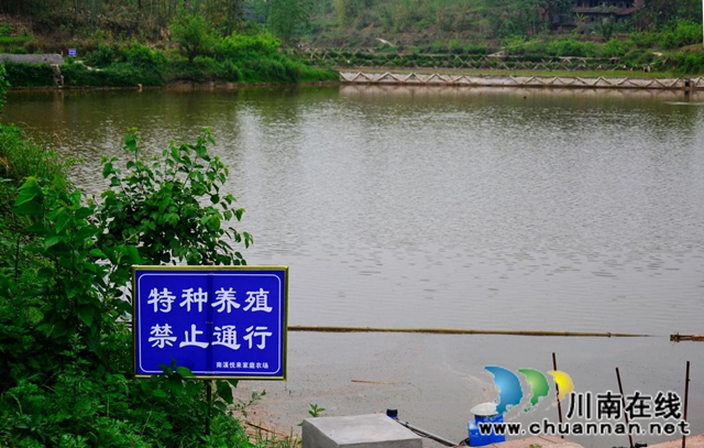 宜宾南溪区长兴镇庆林村：狠抓产业发展着力打造乡村振兴示范村(图2)