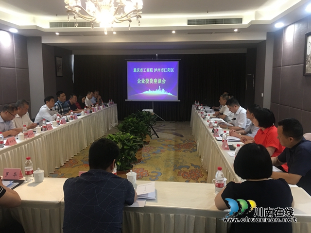 重庆市工商联企业考察团深入考察江阳区招商环境(图3)