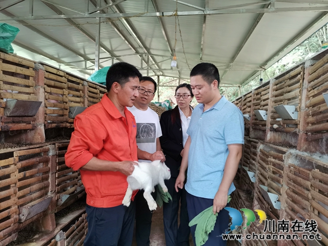 泸县太伏镇：驻村工作队添动力  脱贫产业落地开花(图3)