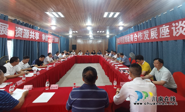 永西泸东区域政商合作发展座谈会在泸县立石镇召开
