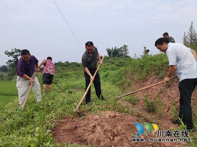 泸县方洞镇庆丰村：种养循环保生态  生猪寄养稳增收(图3)