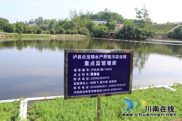 泸县云龙镇：推动水产养殖生态治理，实现绿色健康养殖(图3)
