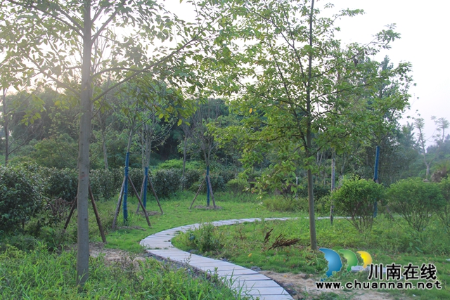 翘首期盼，泸县云龙健康公园建设进入倒计时