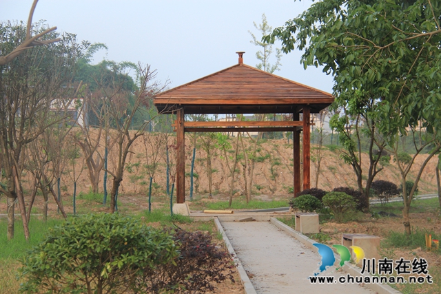 翘首期盼，泸县云龙健康公园建设进入倒计时(图4)