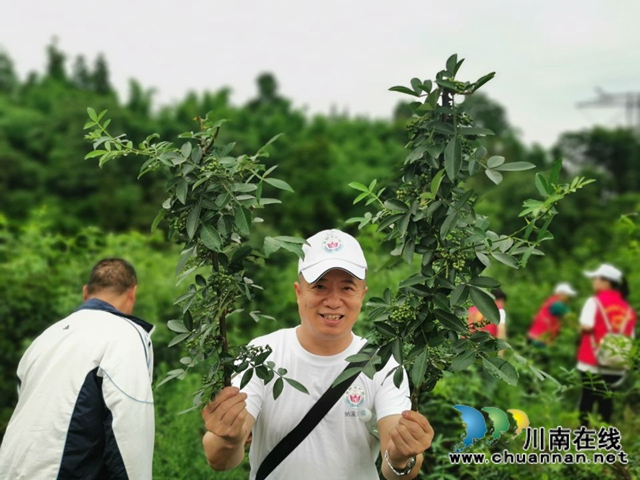 纳溪区法院：党支部结对共建　同享“麻”味丰收节(图4)