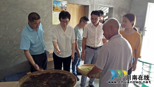 陈佳到泸县潮河镇督导脱贫攻坚、生态环保、安全生产等当前重点工作(图4)