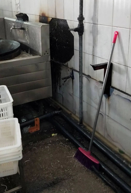 泸州一学校食堂被举报“吃出蟑螂”！市场监管部门立即到场调查