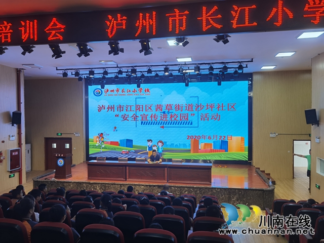 江阳区茜草街道沙坪社区开展“安全宣传进校园·筑牢校园安全墙”(图2)