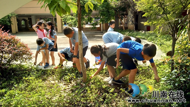 泸师附小城西学校开展“劳动最美”实践活动(图4)