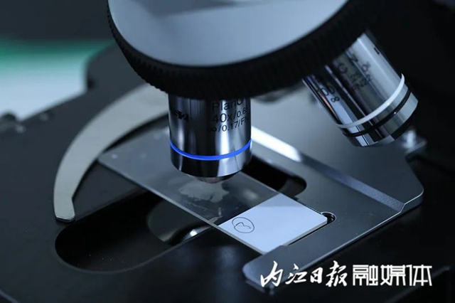 签约成功！总投资41亿 ！内江在成都又拿下这些大项目(图8)