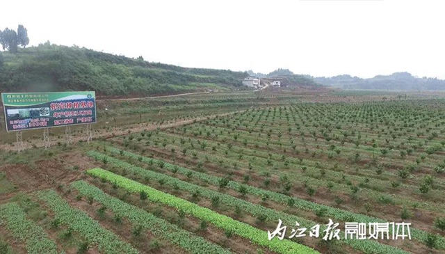 签约成功！总投资41亿 ！内江在成都又拿下这些大项目(图10)