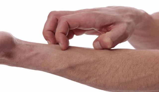 【扩散】一起约上，免费去贴三伏贴！(图8)