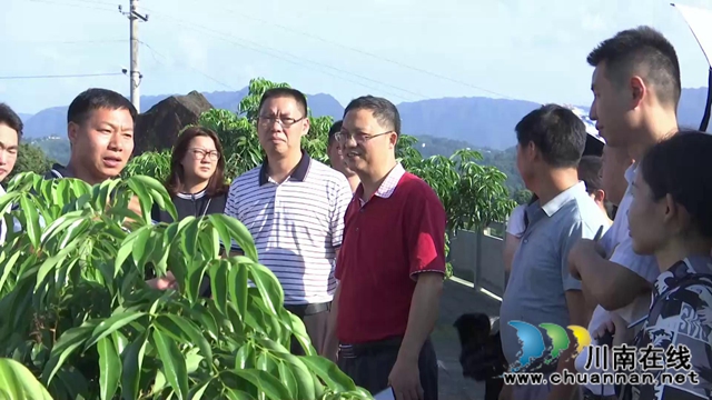 泸州市委统战部调研合江县宗教和统战工作(图4)