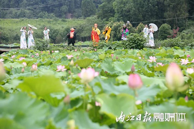 嘿！“唐僧师徒”来内江遇上了“荷花仙子”(图2)