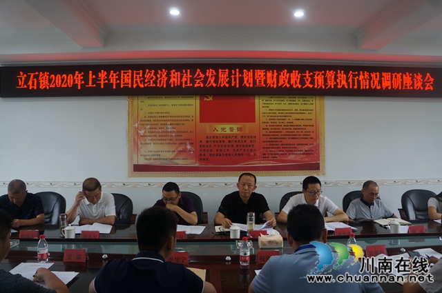 曾一洴到泸县立石镇调研2020年上半年国民经济和财政收支预算执行情况(图2)