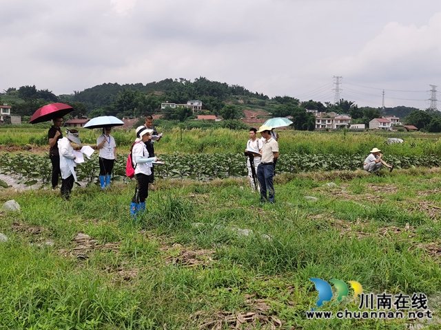 宜宾正信公证处：现场留痕做保全，公证助力谋发展