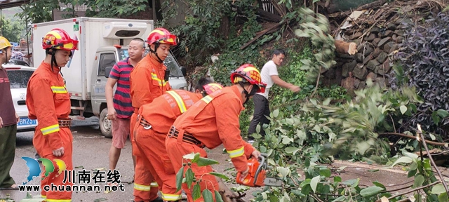 大风刮倒大树压车堵路　泸州消防火速排险(图2)