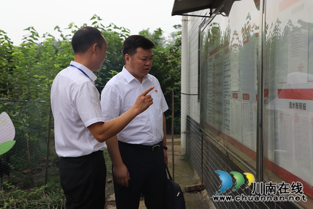 泸县玉蟾街道督导村（社区）监委会工作