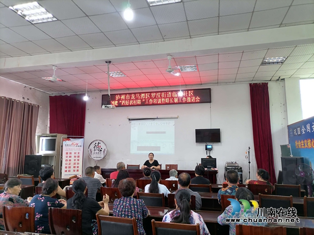 龙马潭区罗汉街道召开创建“四好农村路”工作培训暨路长制工作推进会