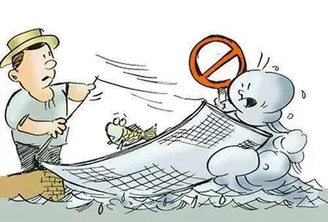 禁渔期内，泸州天然水域是否允许休闲垂钓？官方这样答复！(图2)