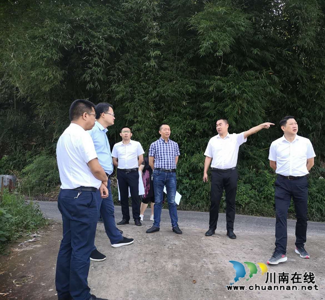 合江县委副书记邓洪波率队调研榕山镇新场镇规划建设工作(图2)