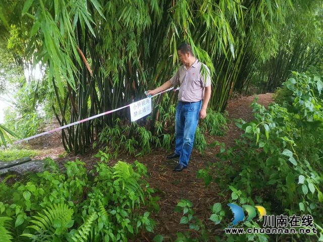 泸县玉蟾街道：“红色马甲”排隐患，安全度汛暖人心(图5)