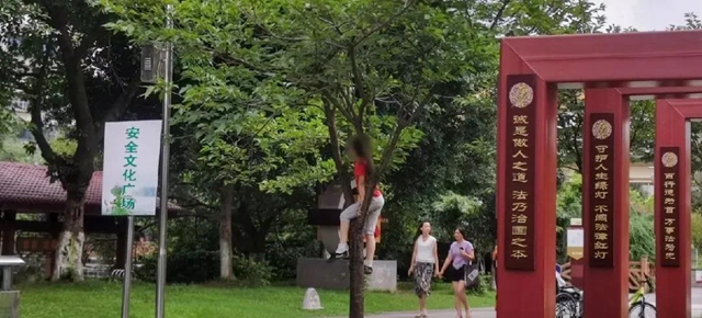 事关所有宜宾人！全城征集这些照片和视频，还有钱……(图13)