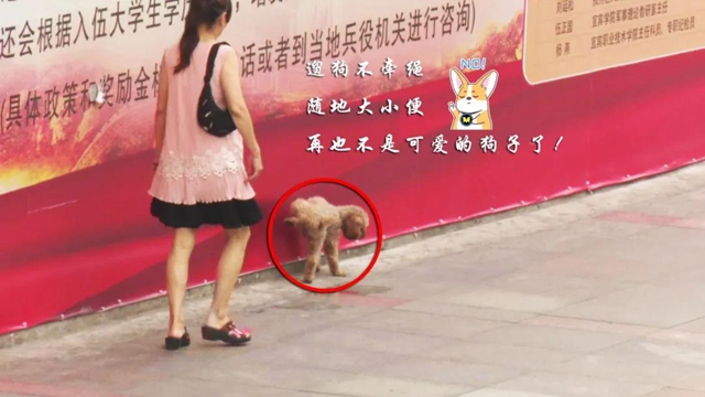 事关所有宜宾人！全城征集这些照片和视频，还有钱……(图16)