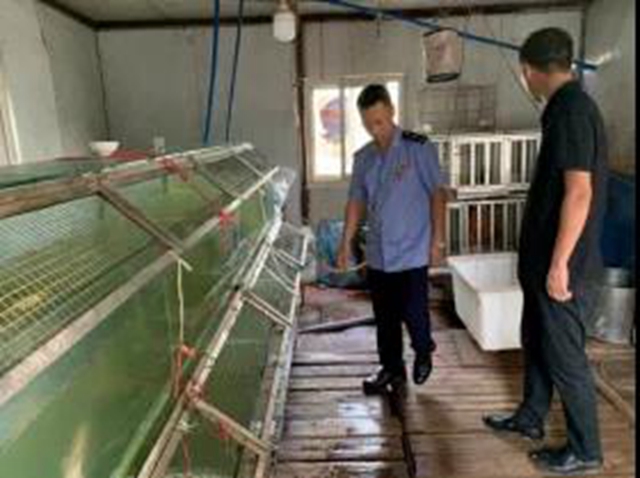 “十年禁渔”！泸州市场监管掷地有声(图6)